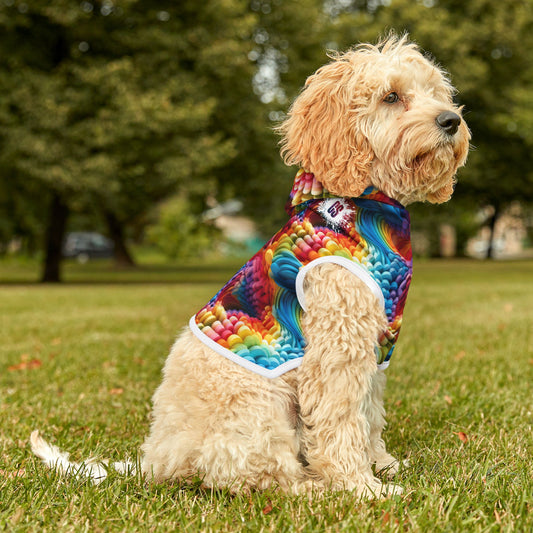 Colorful Foam Rainbow Pet Hoodie