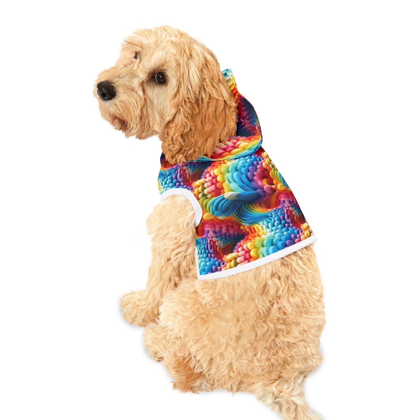 Colorful Foam Rainbow Pet Hoodie