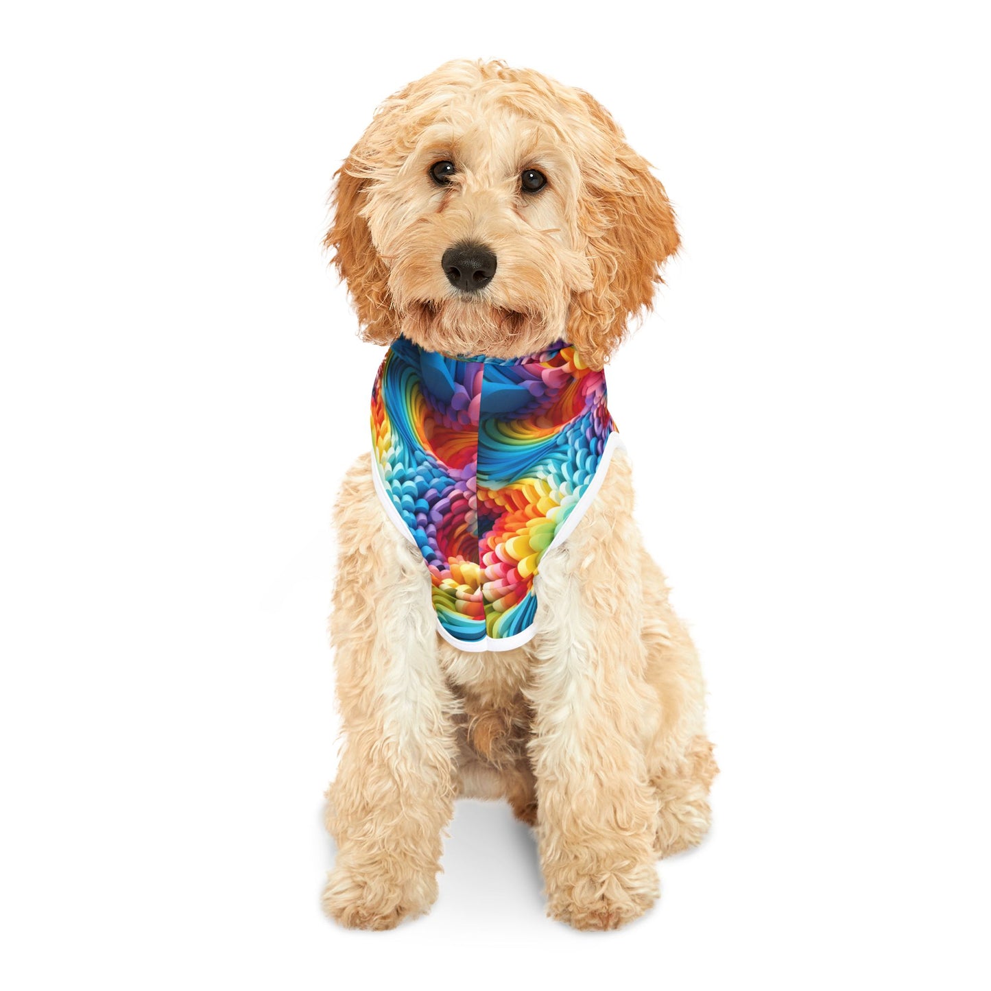 Colorful Foam Rainbow Pet Hoodie